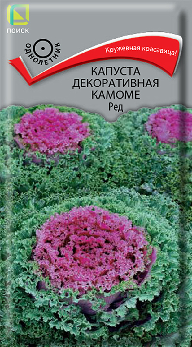 Капуста декоративная Камоме Ред