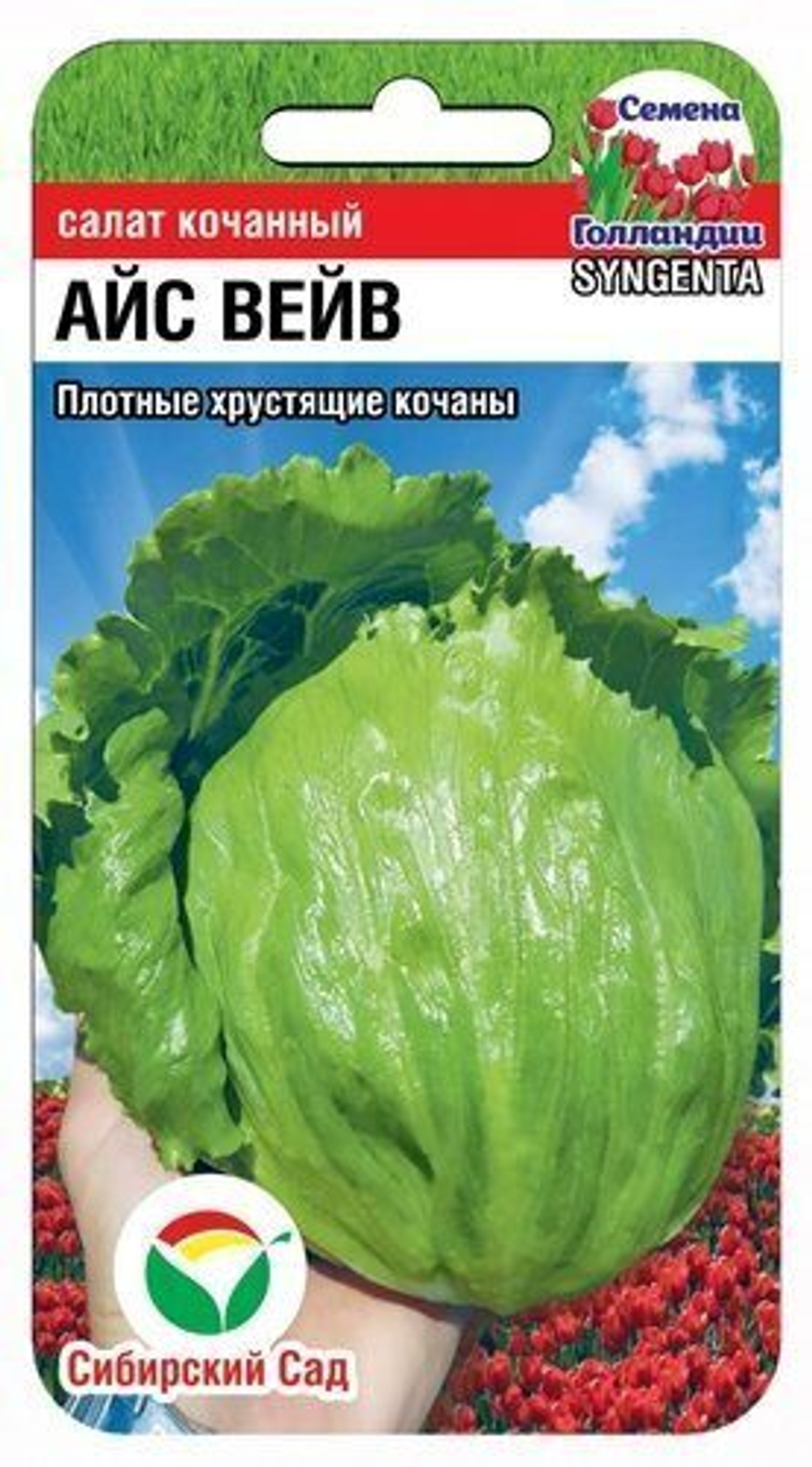 Салат Айс Вейв кочанный 10шт Сибсад|Syngenta