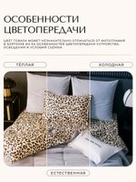 Комплект постельного белья на резинке с одеялом Велюрия Люкс «Ночной инстинкт»