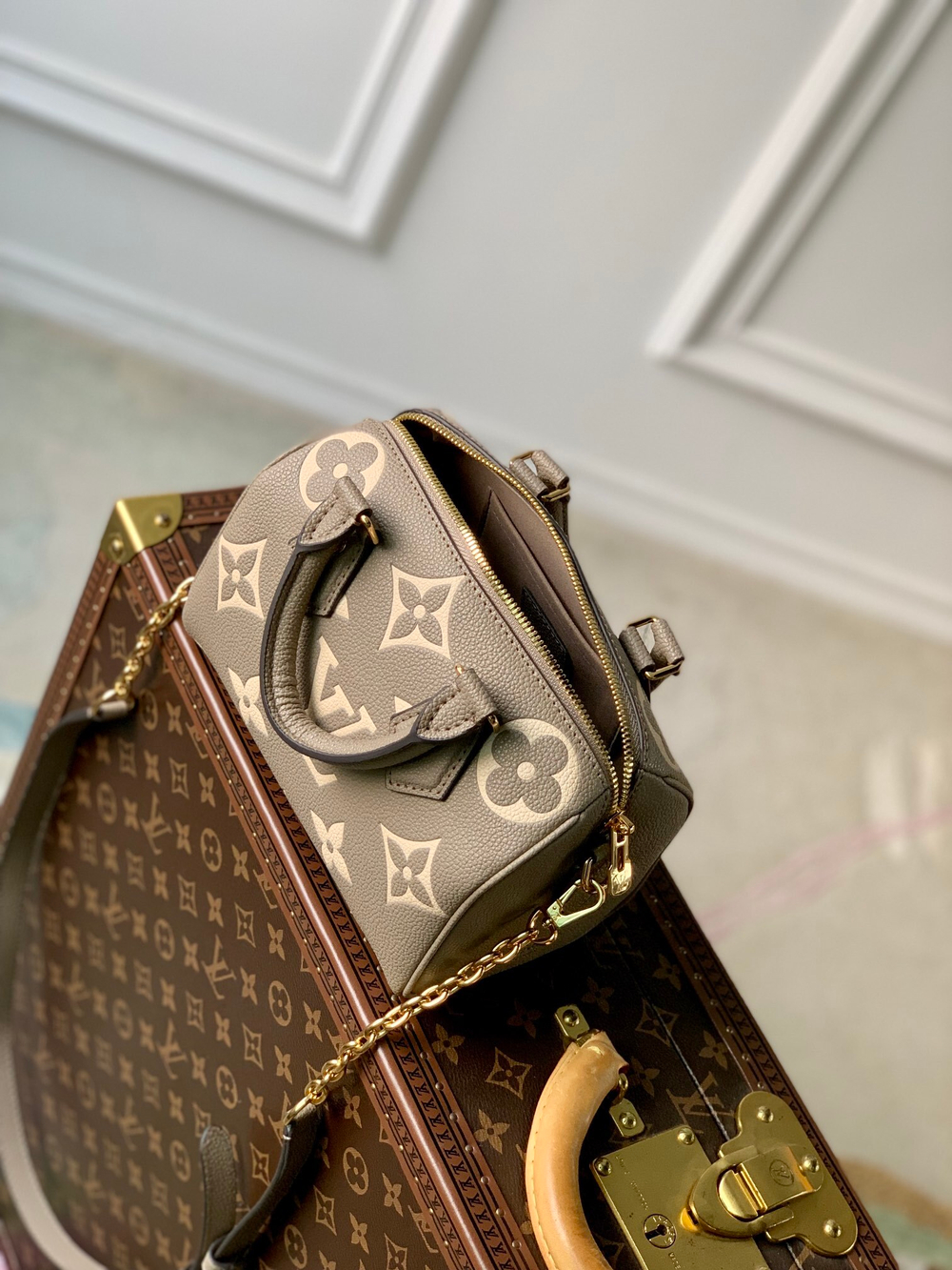 Louis Vuitton Speedy 20