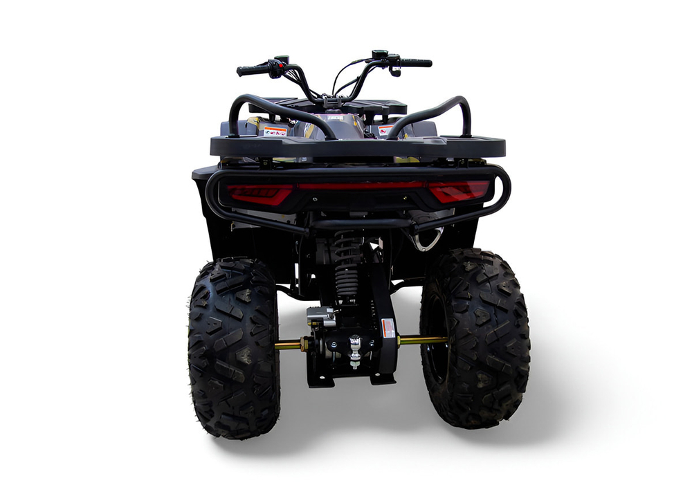 Квадроцикл MOTAX Grizlik W200