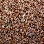 Букле Industria Italiana Filati S.P.A. 30% меринос 12% полиамид 53% полиакрил