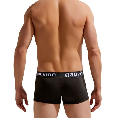 Мужские трусы-боксеры с брендированной резинкой Gauvine (Размер: M) (Цвет: черный)