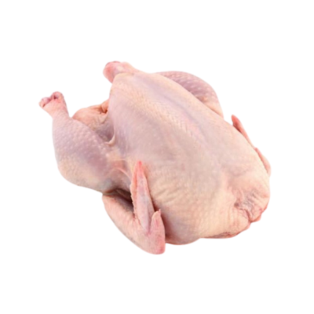 Голень Астана вес (7019)