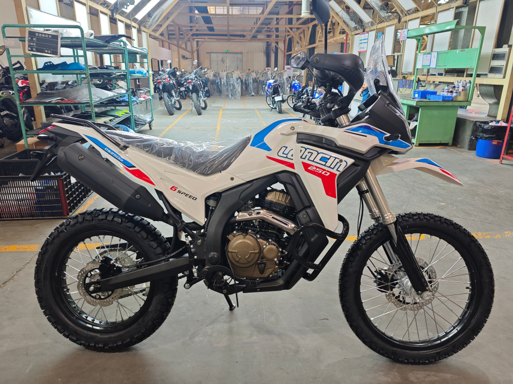Мотоцикл Loncin DS250 Rally