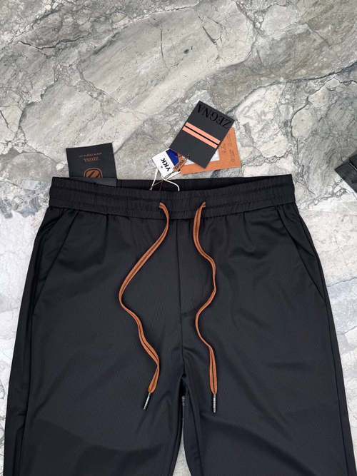 Спортивные штаны Ermenegildo Zegna