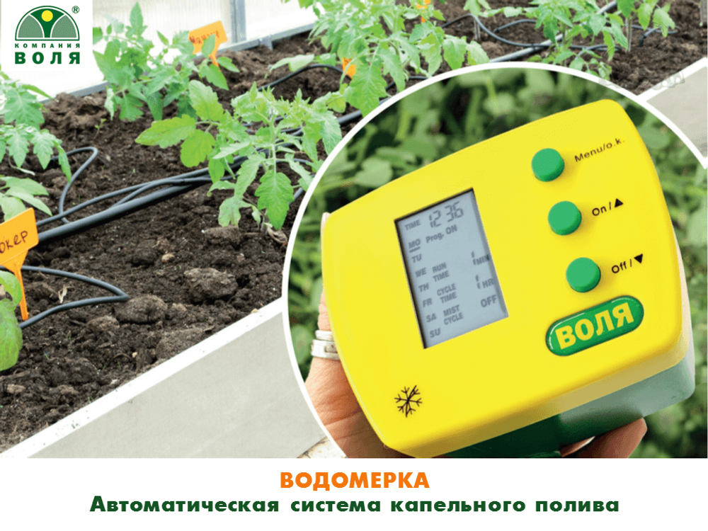 Автоматический капельный полива Водомерка 4м (Водомерка-ЭКО +контроллер Воля с LCD-экраном)