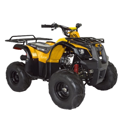 Квадроцикл ABM Ninja 110