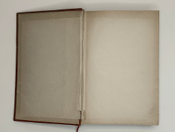 Масальский К. Стрельцы. Исторический роман. СПб.,  Изд. А.С. Суворина, 1885 г.