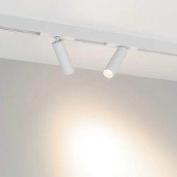 Светильник MAG-SPOT-25-R120-12W Day4000 (WH, 30 deg, 24V) (Arlight, IP20 Металл, 5 лет) 050076