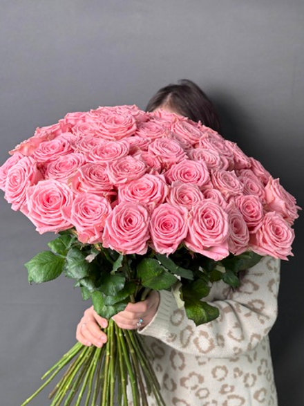 51 Роза «Софи Лорен» 60см,70см