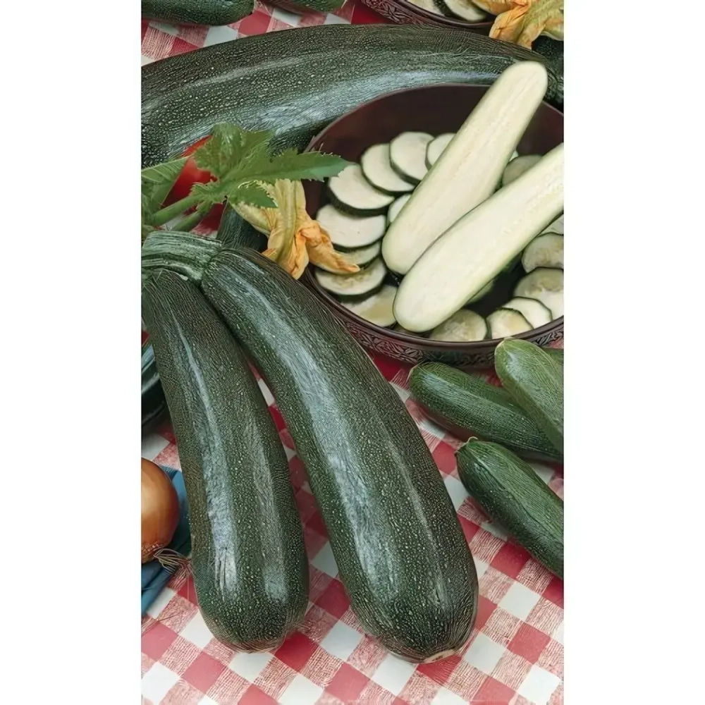 Семена Кабачок Уголек - цуккини (Марс) 2гр Б/П