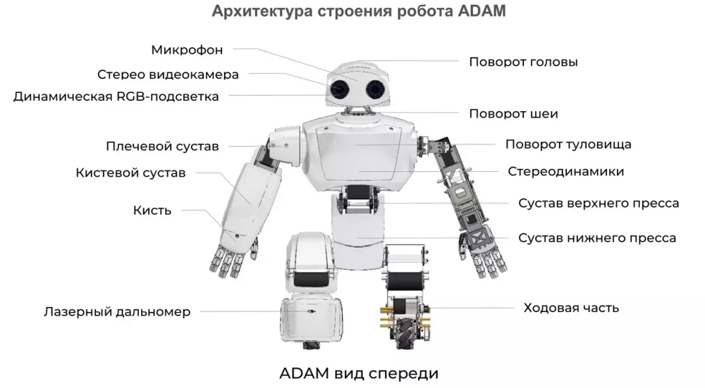 Персональный робот АДАМ v2.7.f
