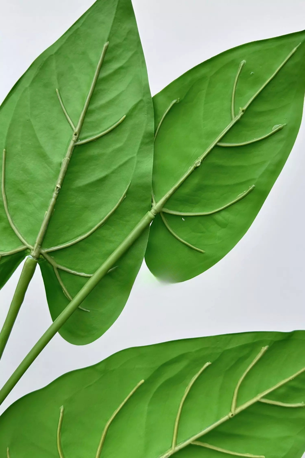 Куст Антуриума 7 листьев 76см