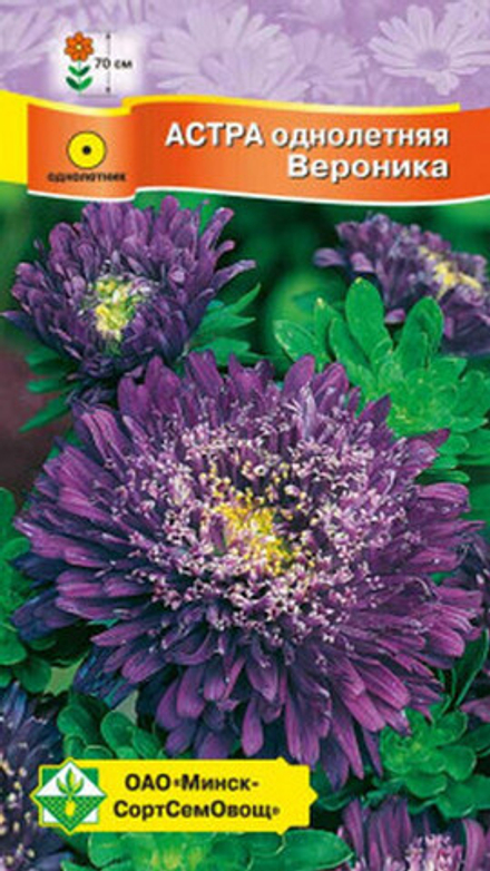 Астра "Принцесса Вероника" 0,3г., Германия.