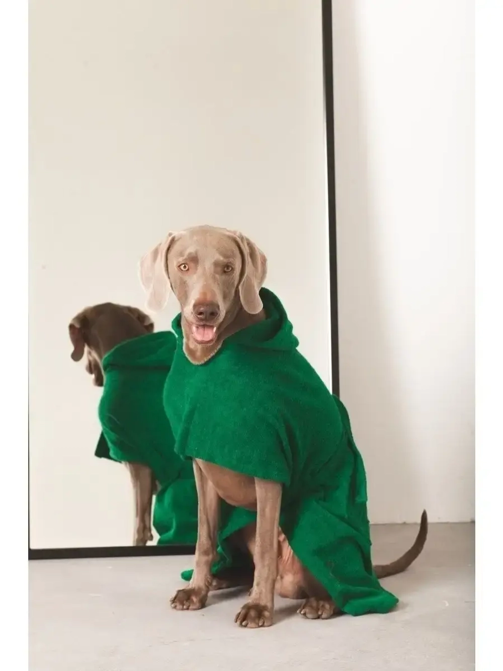 Халат для собак полотенце для животных для всех пород