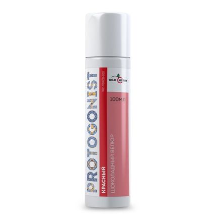 PROTOGONIST