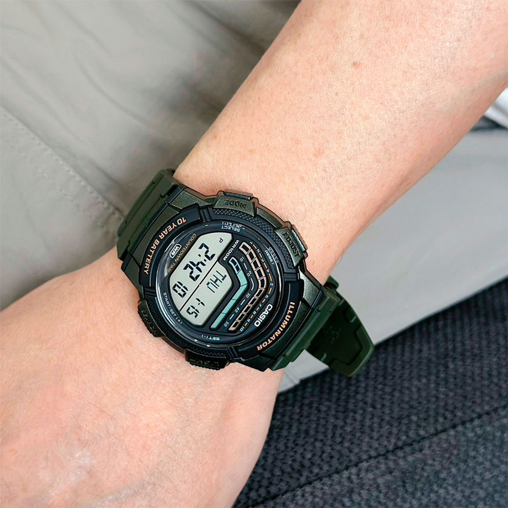 Мужские наручные часы Casio WS-1800-3A