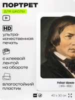 Портрет для школы в кабинет музыки "Франц Шуберт", стенд школьный для класса, деятели науки для оформления классного уголка, 40х30 см, Silver Plane x Айдентика Технолоджи