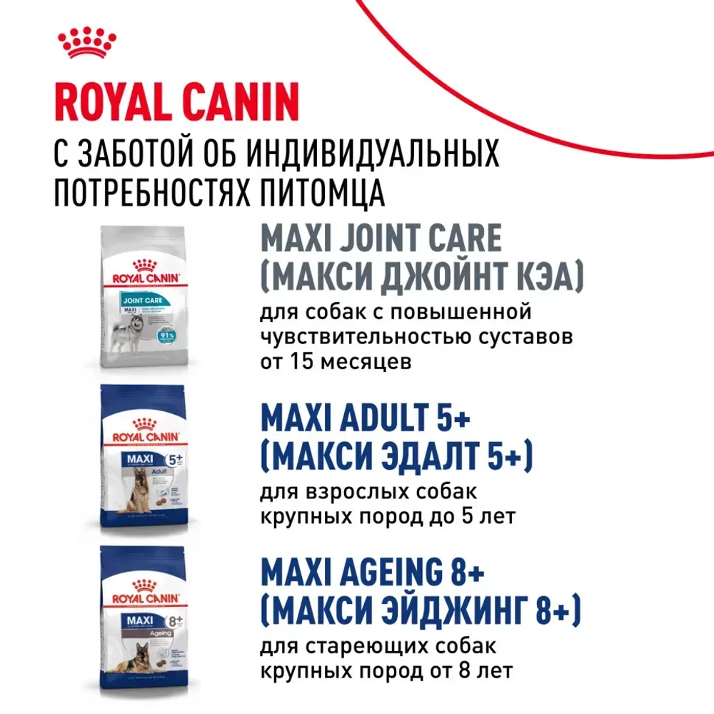 Royal canin maxi adult сухой корм для взрослых собак крупных пород - 3 кг