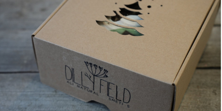 Солнце в коробке 