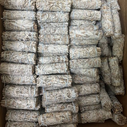 Белый шалфей средний, 20 шт