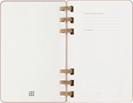 Еженедельник Moleskine SPIRAL (DHSPP2912MWH3) 130х210мм, цвет кофейный