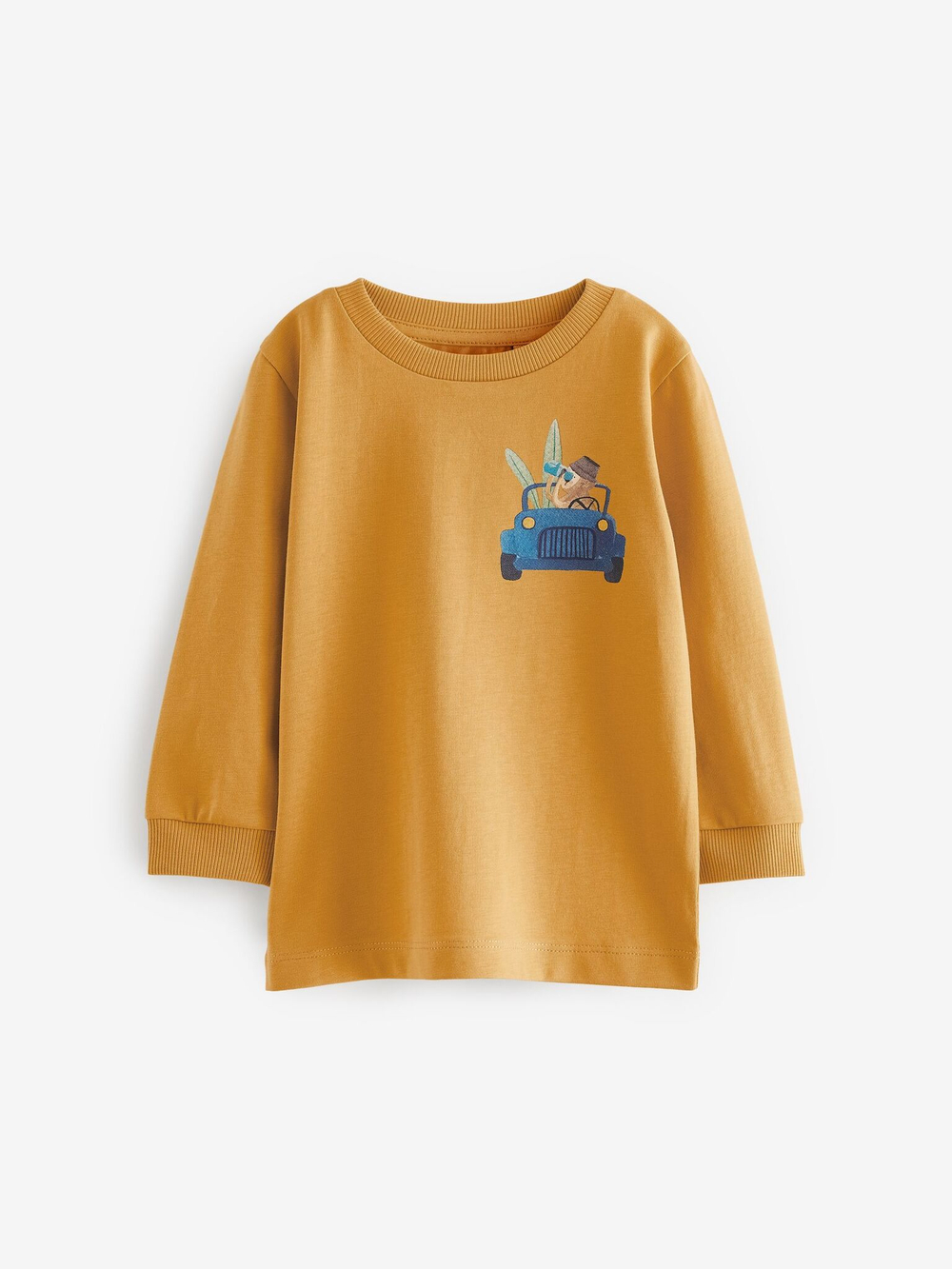 Лонгслив для мальчика Next 642-776, 3 шт., Мятный, Молочный, Горчичный