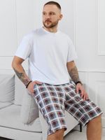 Шорты мужские Тор-2.1 Виотекс КЛЕТКА РАЗНОЦВЕТНАЯ