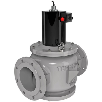 Клапан электромагнитный ВН6Р-6П, ст., фл., ≈220 В, 50 Гц, У2
