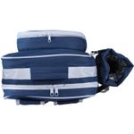 ARBOR. Рюкзак-холодильник для пикников Синий