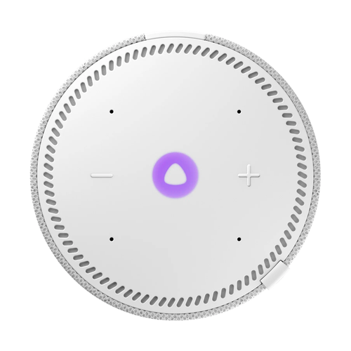 Умная колонка Яндекс Станция Мини (с часами), Серый опал