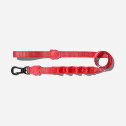Амортизирующий поводок NEON CORAL RUFF 120 см Zee.Dog