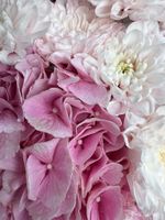 Сборный букет из гортензии и хризантемы