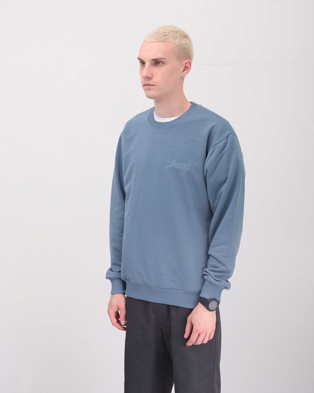 Толстовка ANTEATER Crewneck Синяя