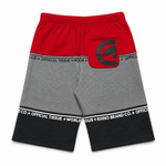 Шорты Ecko Unltd