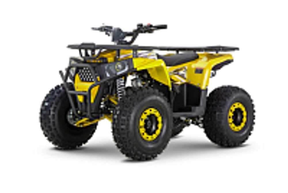 Квадроцикл WELS Trail 125