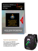 Ранец GROOC 7mini-039 + пенал + мешок + сумка-пенал