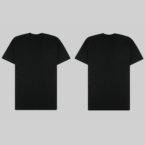 Футболка мужская Obey Standart Organic 2-Pack артикул:131080300 - купить в магазине Дайс