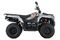 Квадроцикл LONCIN TRV350 Pro 22