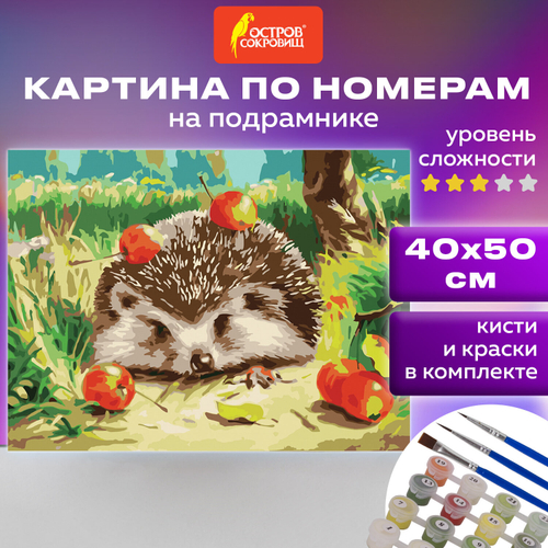 Картина по номерам 40х50 см, ОСТРОВ СОКРОВИЩ "Ежик", на подрамнике, акриловые краски, 3 кисти, 662490