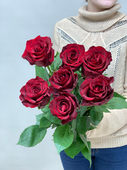 Букет 7 красных роз Эквадор 70см в ленте