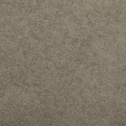 Микровелюр Амур 04