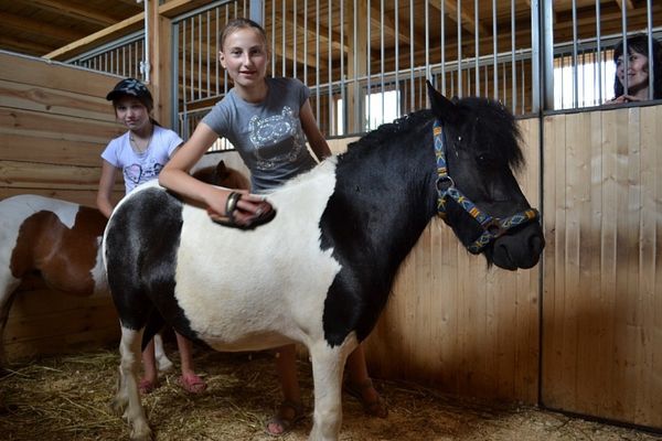 Пони для ребенка: ответственный выбор