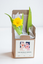 Цветущие растения в подарочной коробочке с валентикой