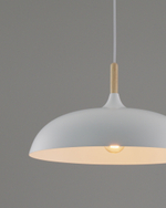 Подвесной светильник Moderli V1330-P Hygo