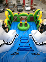Надувная горка "Большой тигр", 15*7*10 м