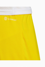 Шорты adidas Entrada 22