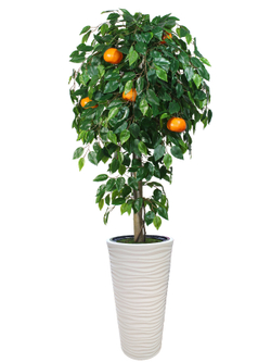 Искусственное дерево Мандарин 170 см в высоком круглом белом кашпо