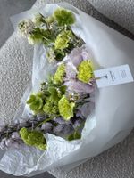 Букет сборный из гортензии, диантусов, вибурнума, дельфиниума и скабиозы